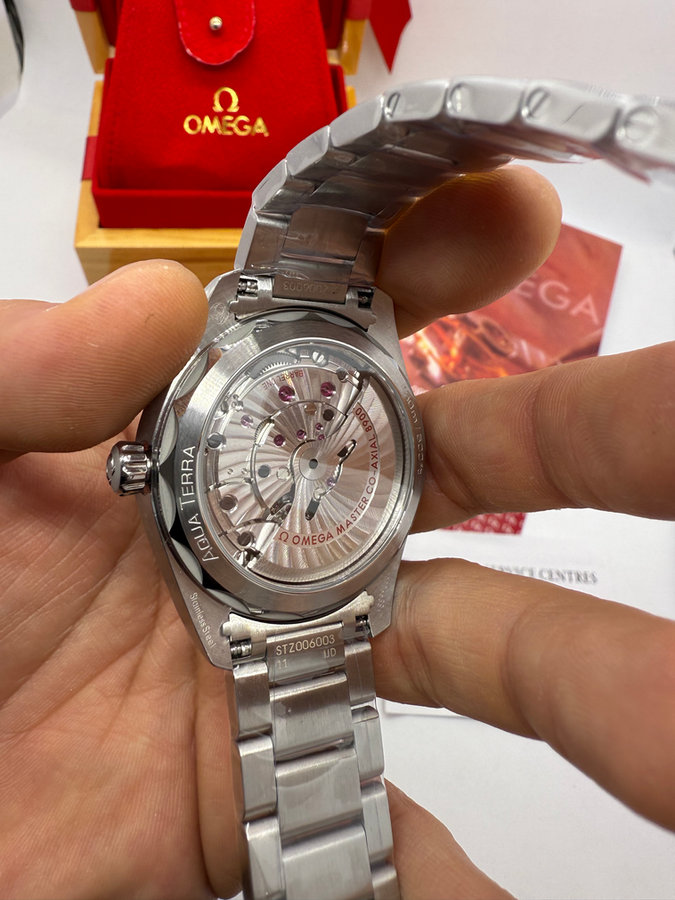 Omega Seamaster Aqua Terra — vista 5