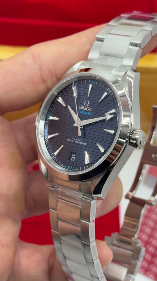 Omega Seamaster Aqua Terra — vista 6