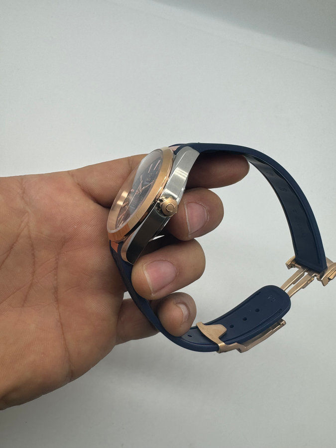 Omega Aquaterra 41,5 — vista 2
